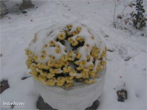 Епілог осінньої поеми