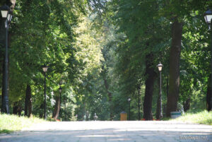 Маріїнський парк | Київ | 6